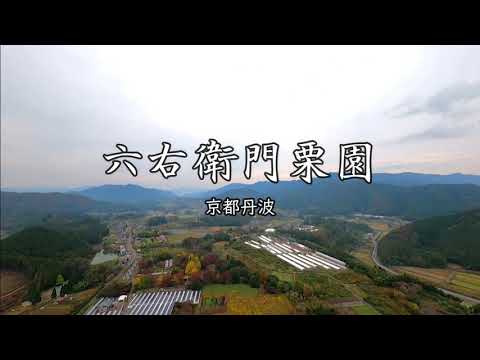 Jardim de Castanhas Rokuemon_ Castanha Kyotanba