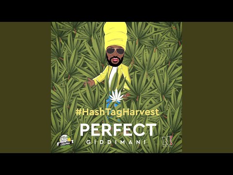 Got Trees (feat. Young Shanty & Rasrap)