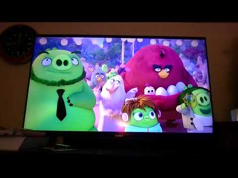 Mighty Eagle's and Zeta's Wedding Scene - The Angry Birds Movie 2 (2019)