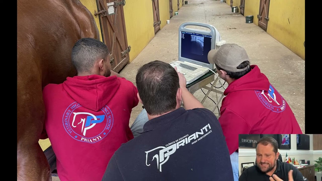 Doenças Articulares Degenerativas e terapias ortobiológicas.