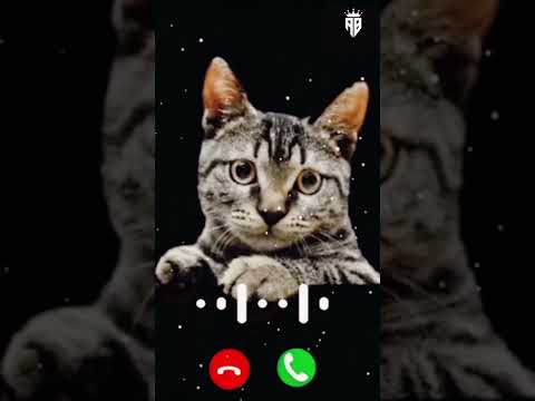 Best Tone Abe Yaar Ak Aur Message Tone // SMS Ringtone // Notification Ringtone // #ringtone #shorts