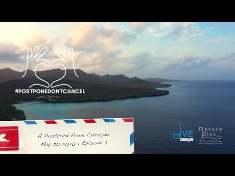 Kenepa Plantation Curaçao - A Postcard from Curacao | May 20, 2020 - Episode 9