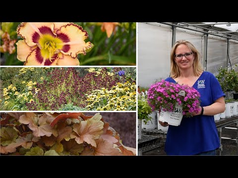 New Perennials for 2021 (2020 Professional Release) Part 2