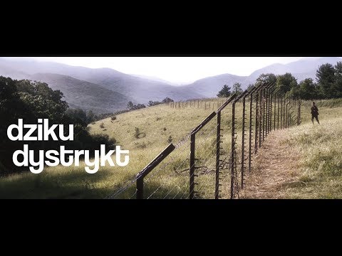 Dziku - Dystrykt (muz. Søvnløs, mash-up. Sąsiedztwo)