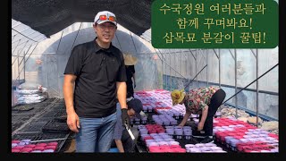수국정원! 전주 신복마을주민들과 함께 …