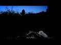 Interpol - The Scale 