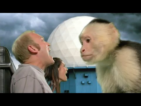 X-Play Episode 290 / #5075