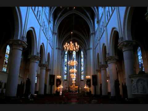 20150118 agnus dei missa xi gregoriaans