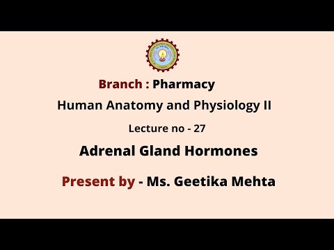 Adrenal gland Hormones