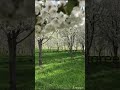 Hum Gilgit Baltistan Ke Hain GB Song National Song Of Gilgit Baltistan
