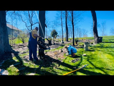 Spring Garden Clean Up: Cutting Back Perennials and Grasses. Random Yard Work Fun!