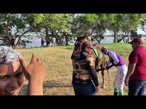 CORRIDA DE CAVALOS -2026 - HARAS NÓS QUEIROZ- CAREIRO DA VÁRZEA -AM