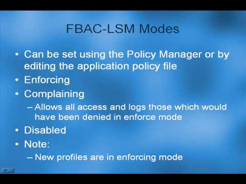 FBAC-LSM Explanation