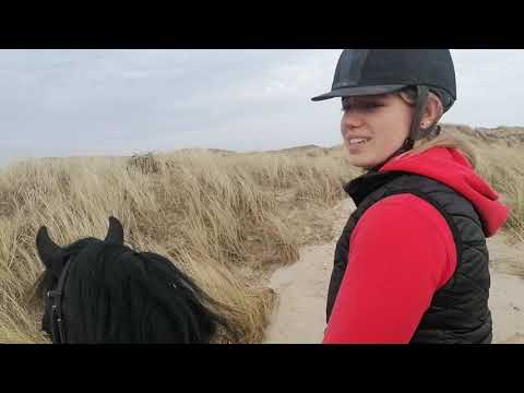 Stal Okkema - Friesian horses at the beach - vlog #005