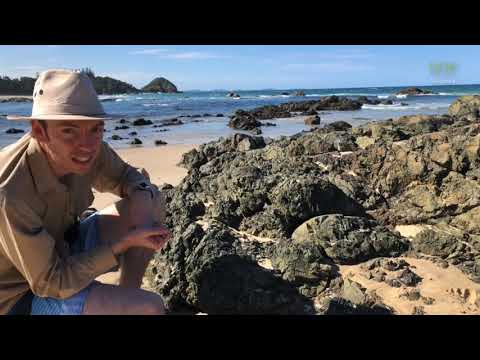 ⚒️ George the Geologist - Pillow Basalt