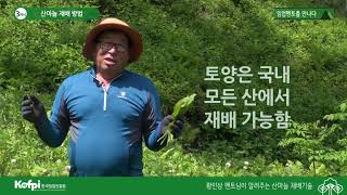 [산마늘3] 산마늘 재배방법