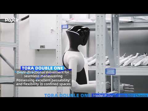 TORA DoubleOne Review Video 2