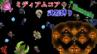 【Terraria】ミディアムコアと武器縛りで死ぬテラリア【マルチ実況】part15