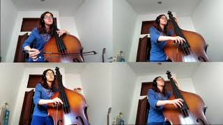 Shape of you - Ed Sheeran (For Double Bass Quartet)