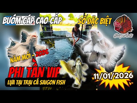 Tuyển Tập Đặc Biệt | Xuống Tận Trại Săn Cá Sư Tử & Chép Phi Tần Siêu Đẹp Phục Vụ Anh Em Đẳng Cấp