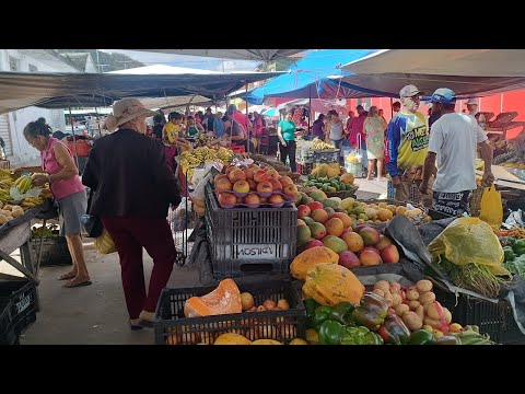 FEIRA LIVRE DE MARAVILHA AL 14/09/2026 