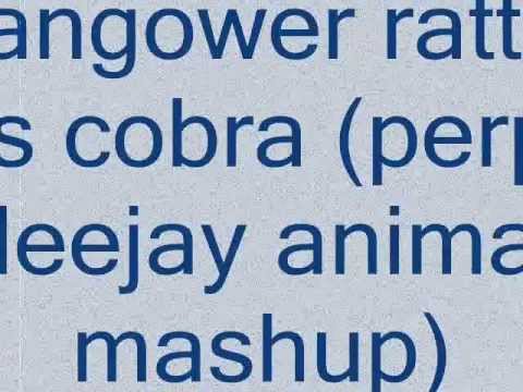 bingo players ft flo rida and taio cruz ft hardwell-hangover rattle vs cobra (perpideejay mashup)