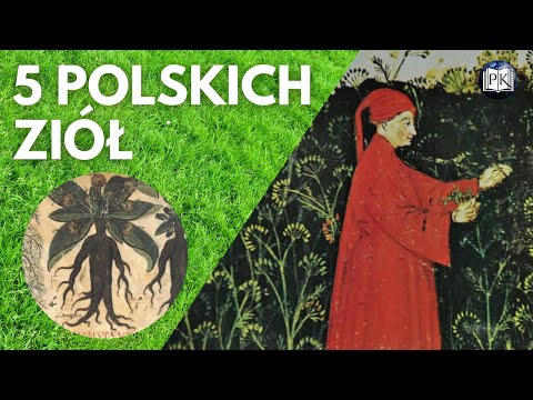 5 NAJBARDZIEJ LECZNICZYCH ZIÓŁ W POLSCE - CZĘŚĆ DRUGA