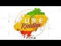 DJ AMZ / PURE RIDDIM / BHANGRA MIX 2018