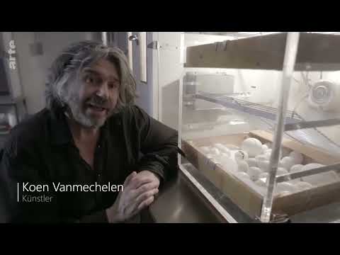 Die Geschichte von Mensch und Tier 2