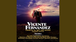 El Último Barco Lyrics English Translation
