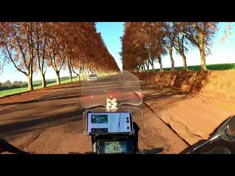 Caminho dos platanos, BR158, Rio Grande do Sul