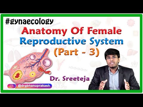 Anatomy of Female reproductive system Part 3 - Fallopian Tubes and Ovaries  - OBG Lectures FMGE