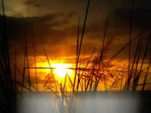 Kuingin Kau Selalu Disisiku __ Acil Bimbo ft Andi Meriem M