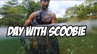 preview picture of video 'Day with my pet  SCOOBIE the rottwheiler at kallar near ponmudi'