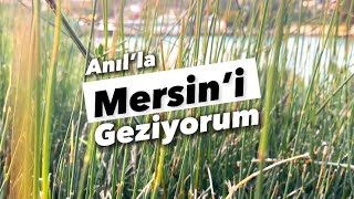 Mersin | Narlıkuyu Müzesi