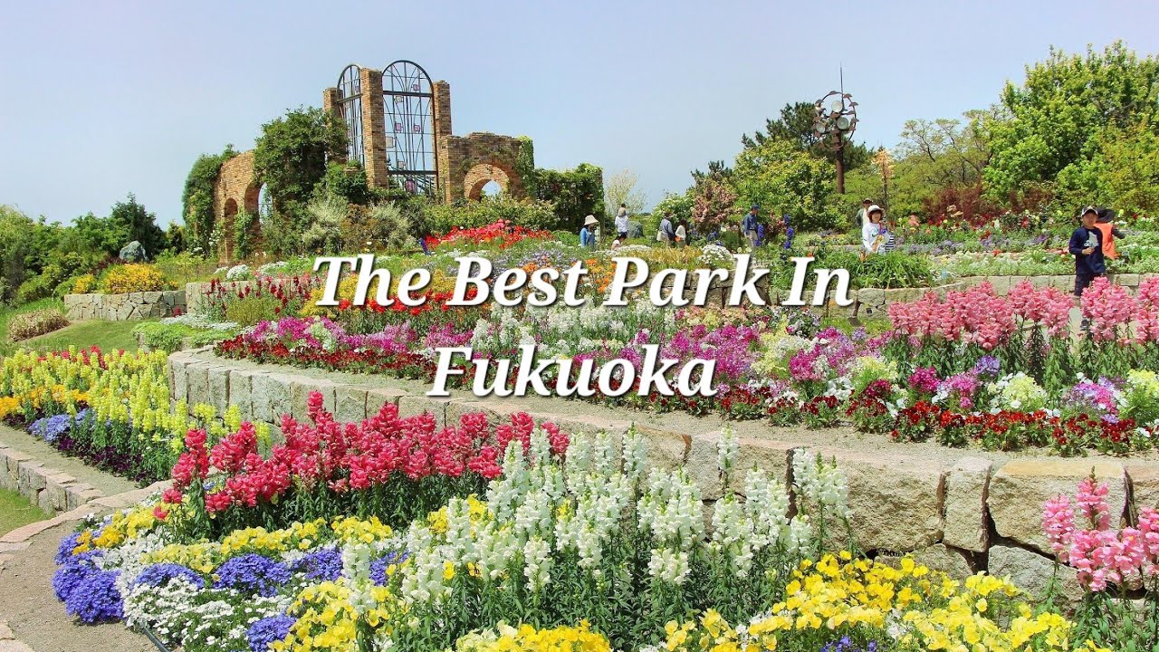 Embark on a walking tour through the Uminonakamichi Seaside Park.