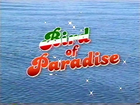 Big Mike Colonia - Bird of Paradise (mit Gianni La Bamba)