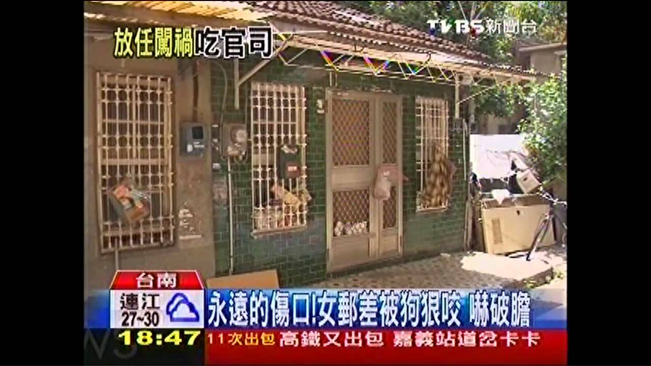 任狼犬5度狠咬人　過失傷害起訴！