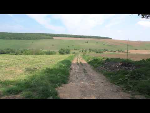 La Moara Gosmani Romani