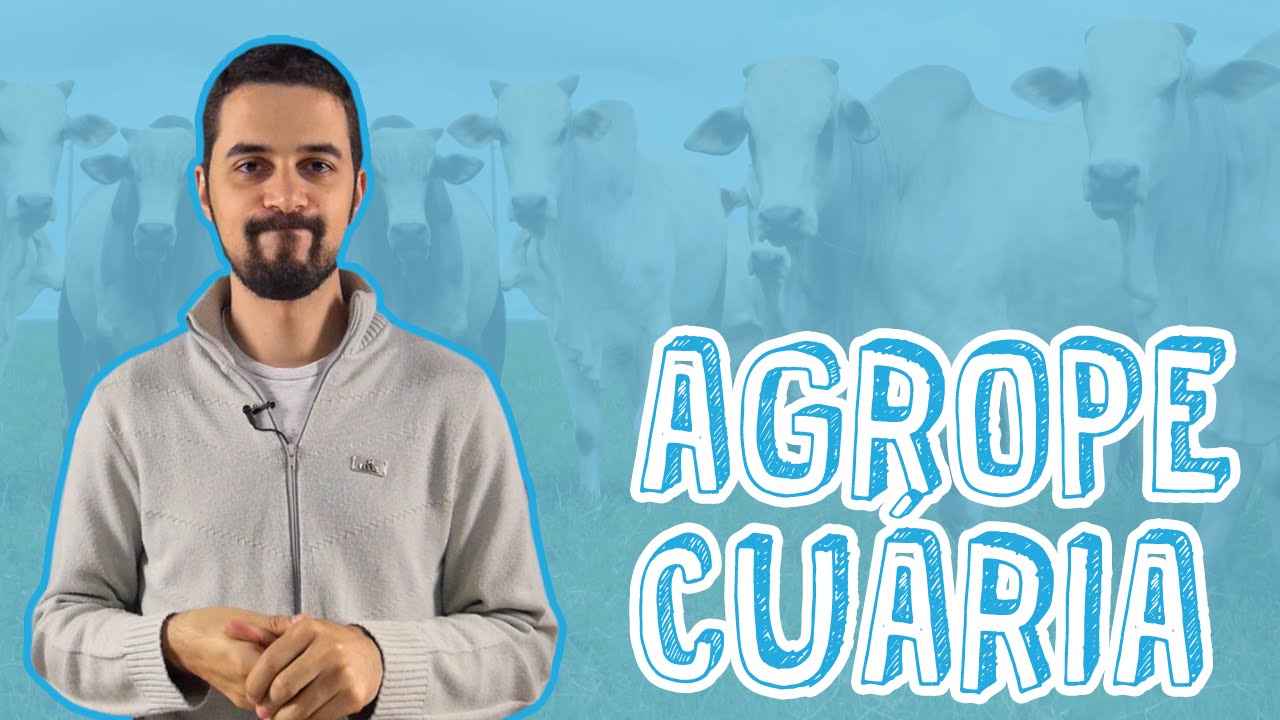 Aula Geografia - Agropecuária - Sistemas Agropecuários para o Enem e Vestibulares - STOODI