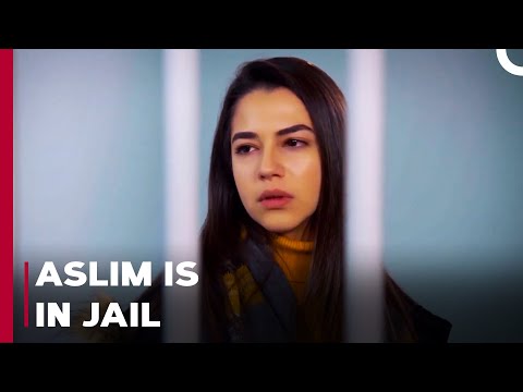 Aslım Takes The Blame For Ozan - Can't Stop Loving You