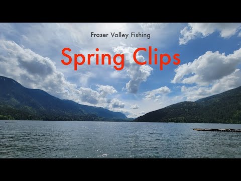 Fraser Valley Fishing-- Spring Clips
