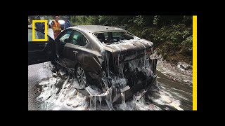 Watch: 'Slime Eels' Explode on Highway After Bizarre Traffic Accident | National Geographic