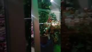 SİNCAN çiçekçi - Sincana çiçek gönderme | SİNCANDAKİ Çiçekçiler