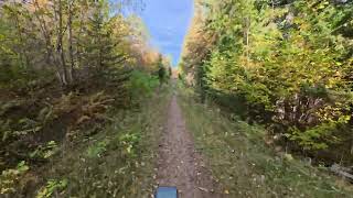 Grusfavoritten med nydelige høstfarger #emtb #insta360goultra