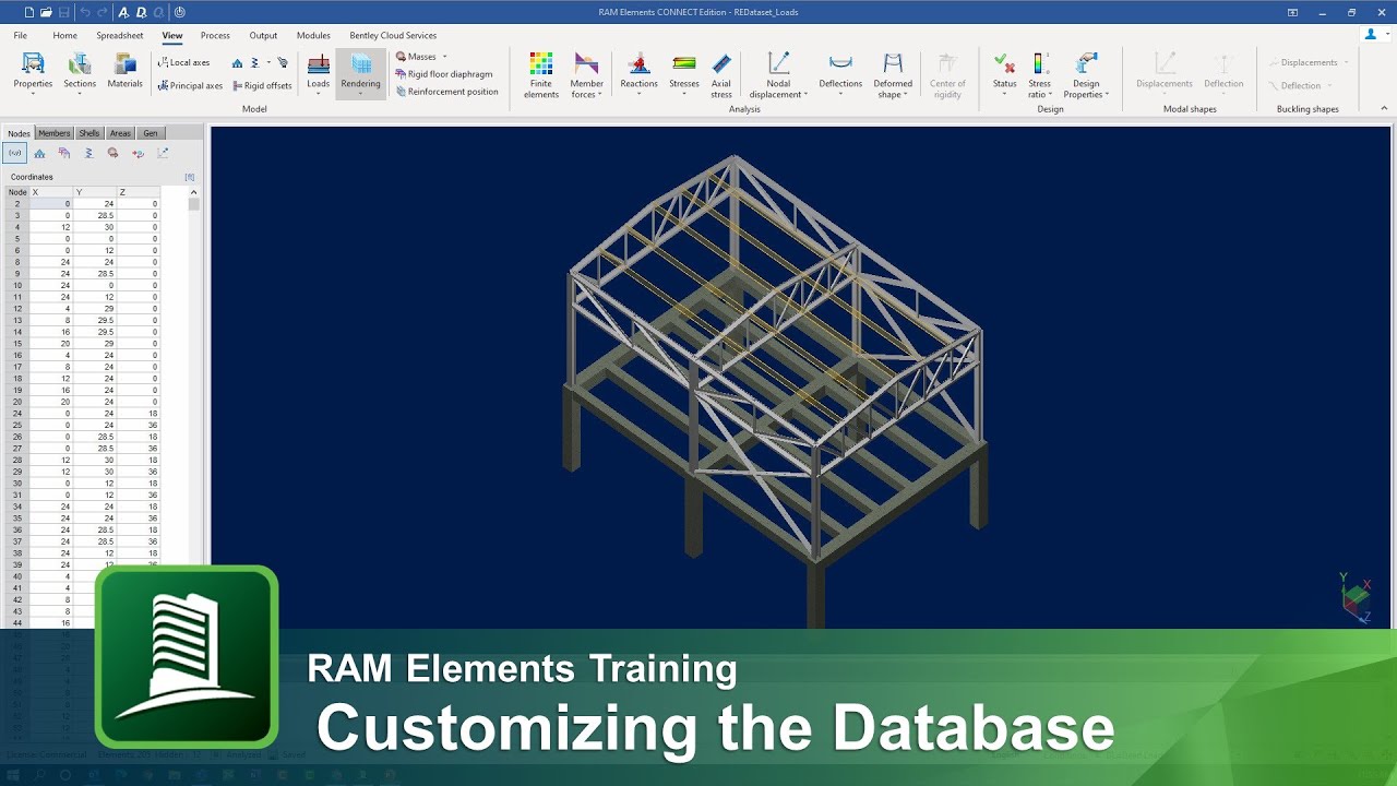 Customizing the Databases in RAM Elements