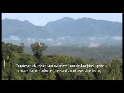 The Heart of Borneo Song