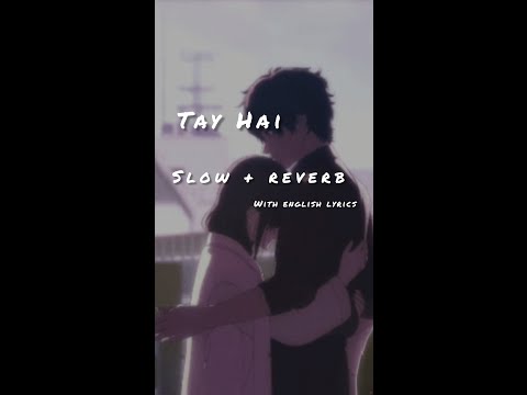 Tay hai [slow+reverb] with english lyrics
