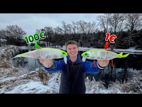 Fake vs. Original - €1 vs. €100 baits put to the test!