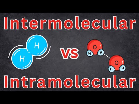 Intramolecular And Intermolecular Forces Explained! Chemistry, Chemical Bonds, High School Chemistry